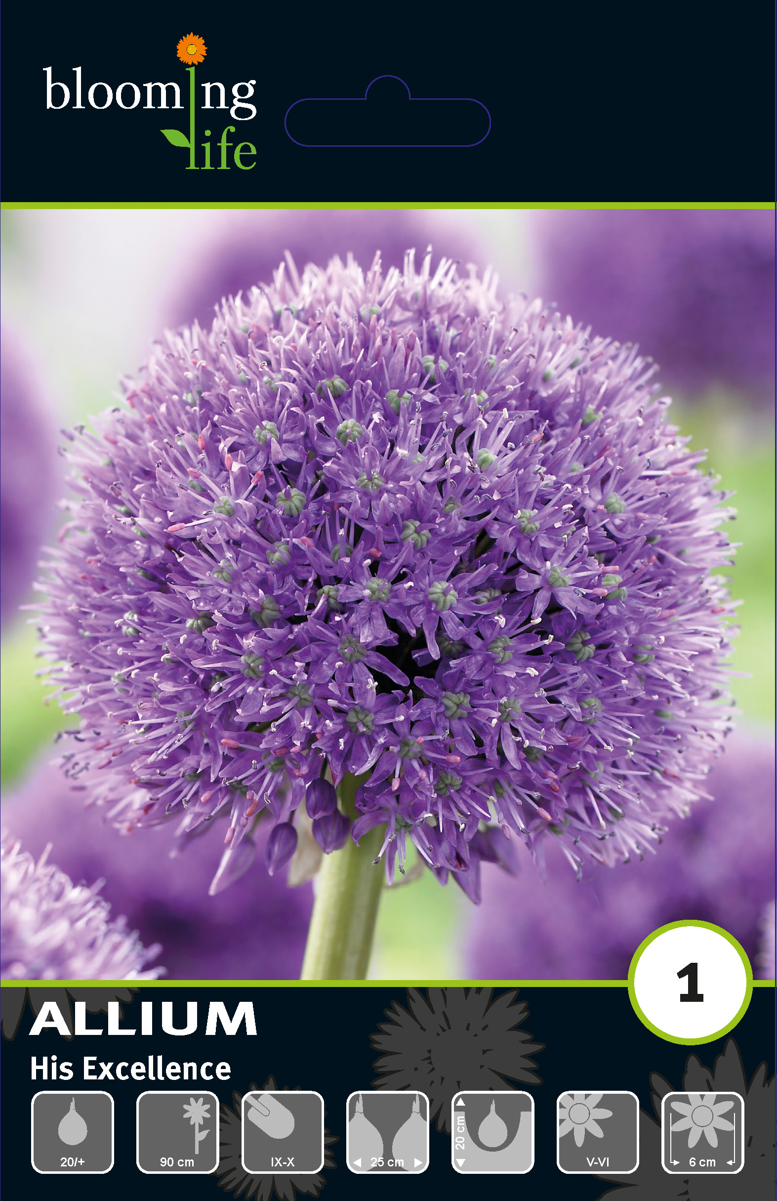 Аллиум Хиз Экселенс